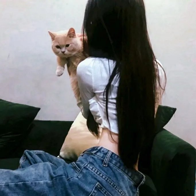 派出所的故事